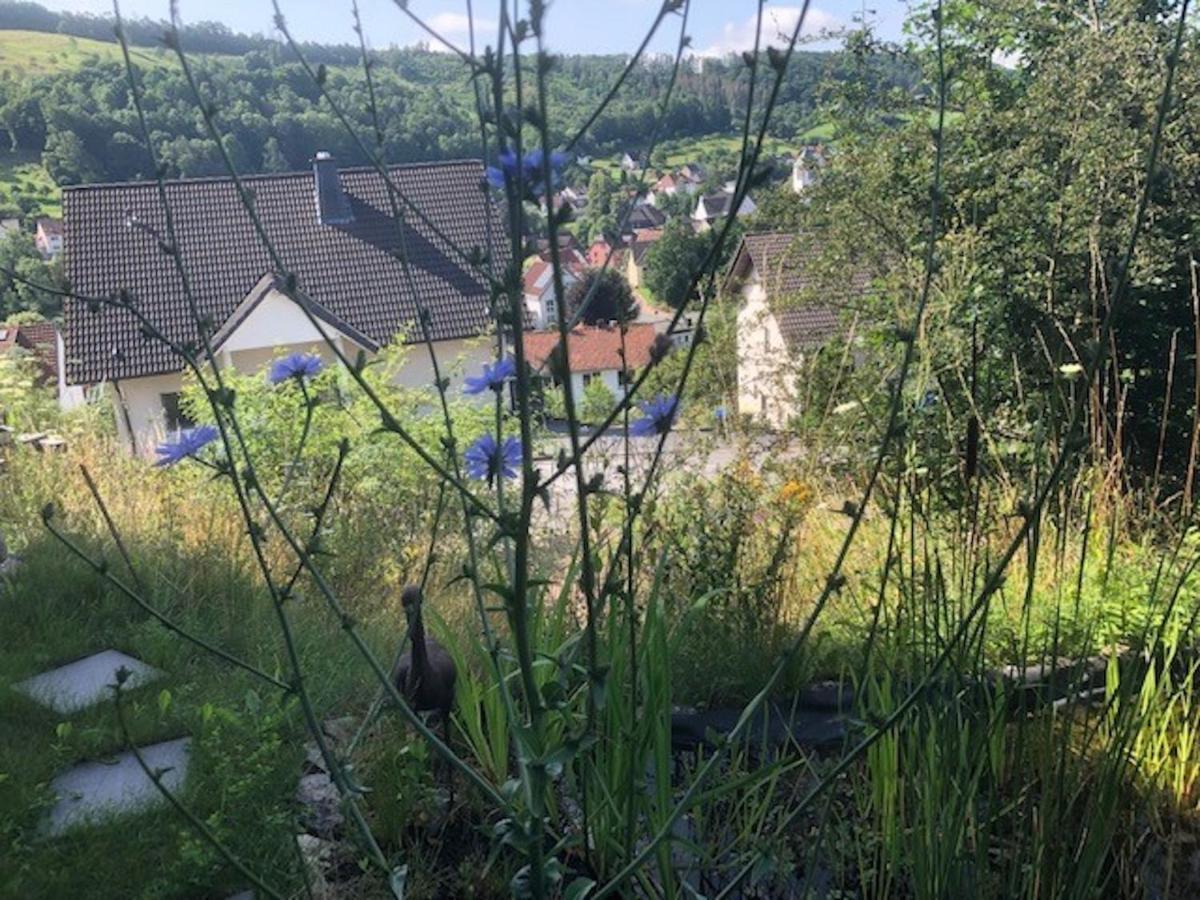 Haus Leenja Beverungen Dış mekan fotoğraf